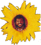 Flor